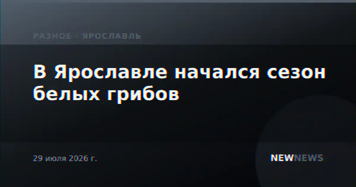 В Ярославле начался сезон белых грибов