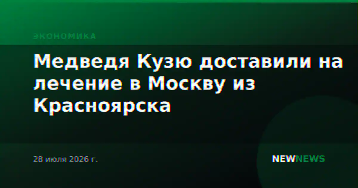 Медведя Кузю доставили на лечение в Москву из Красноярска