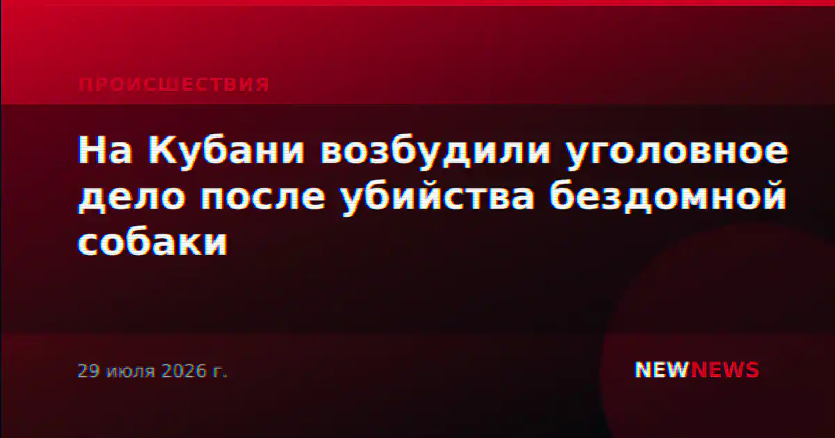На Кубани возбудили уголовное дело после убийства бездомной собаки