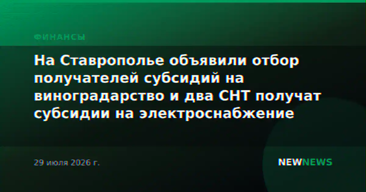 На Ставрополье объявили отбор получателей субсидий на виноградарство и два СНТ получат субсидии на электроснабжение
