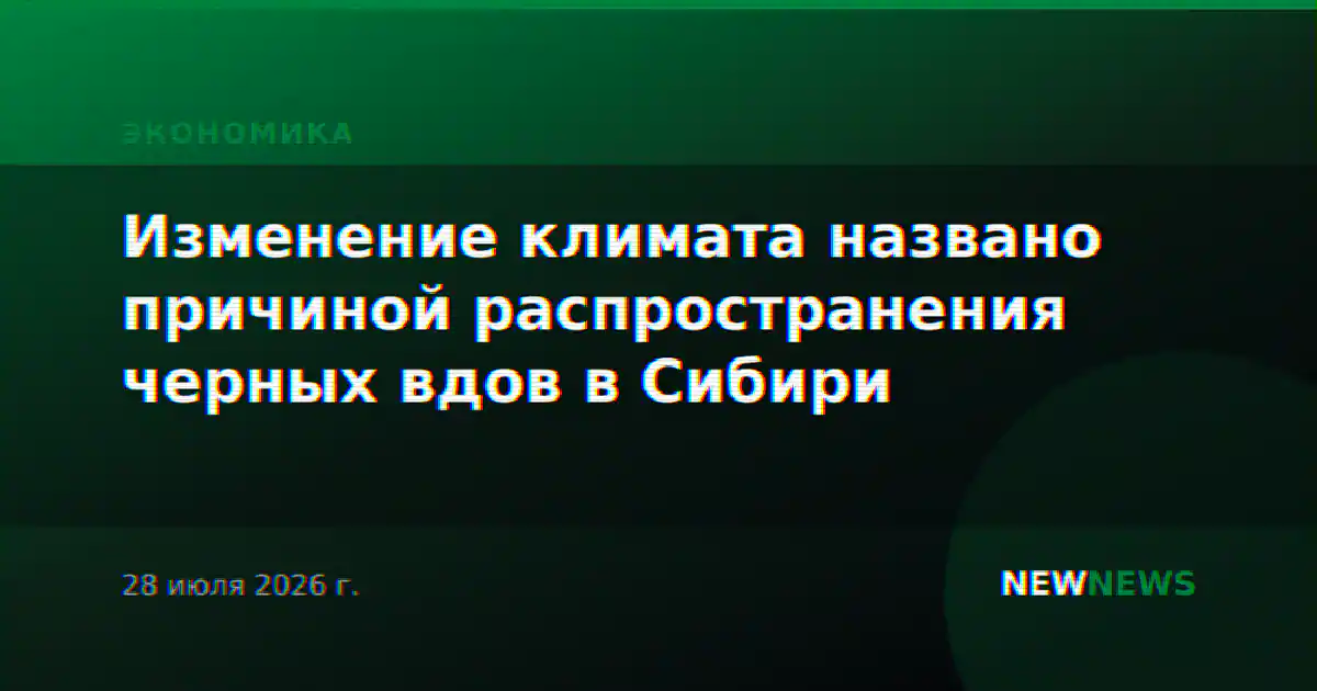 Изменение климата названо причиной распространения черных вдов в Сибири