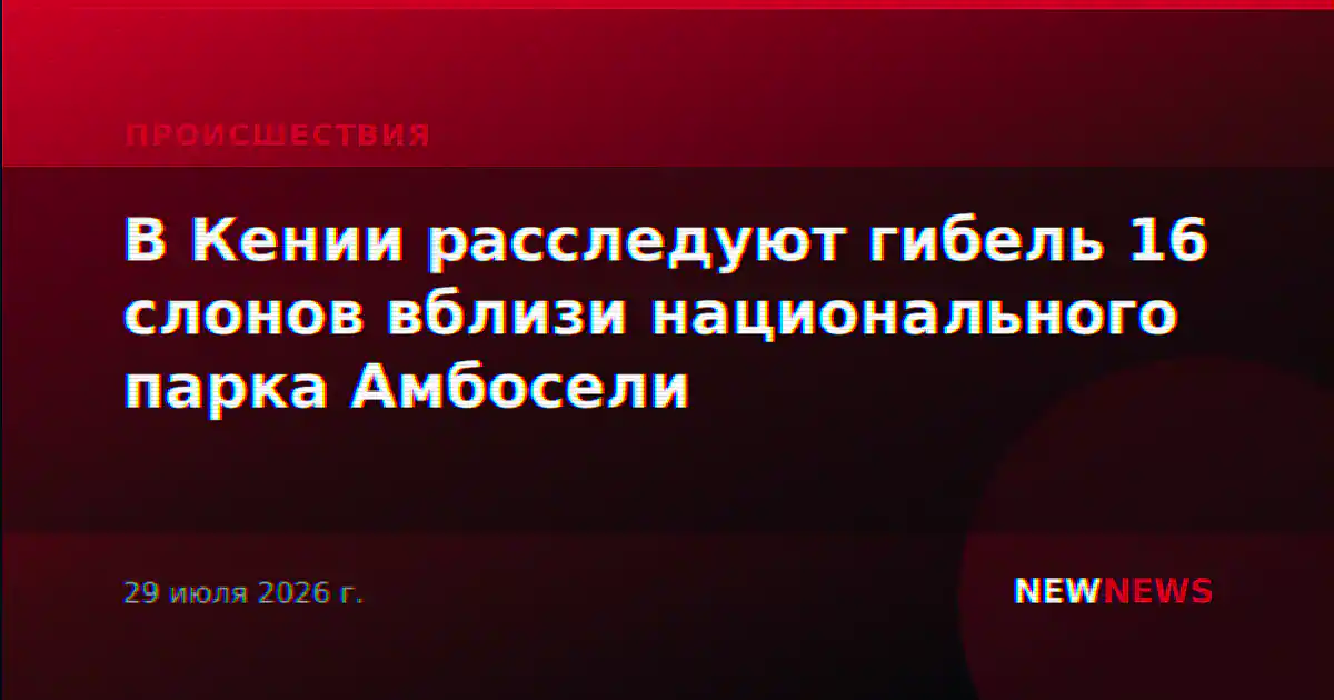 В Кении расследуют гибель 16 слонов вблизи национального парка Амбосели