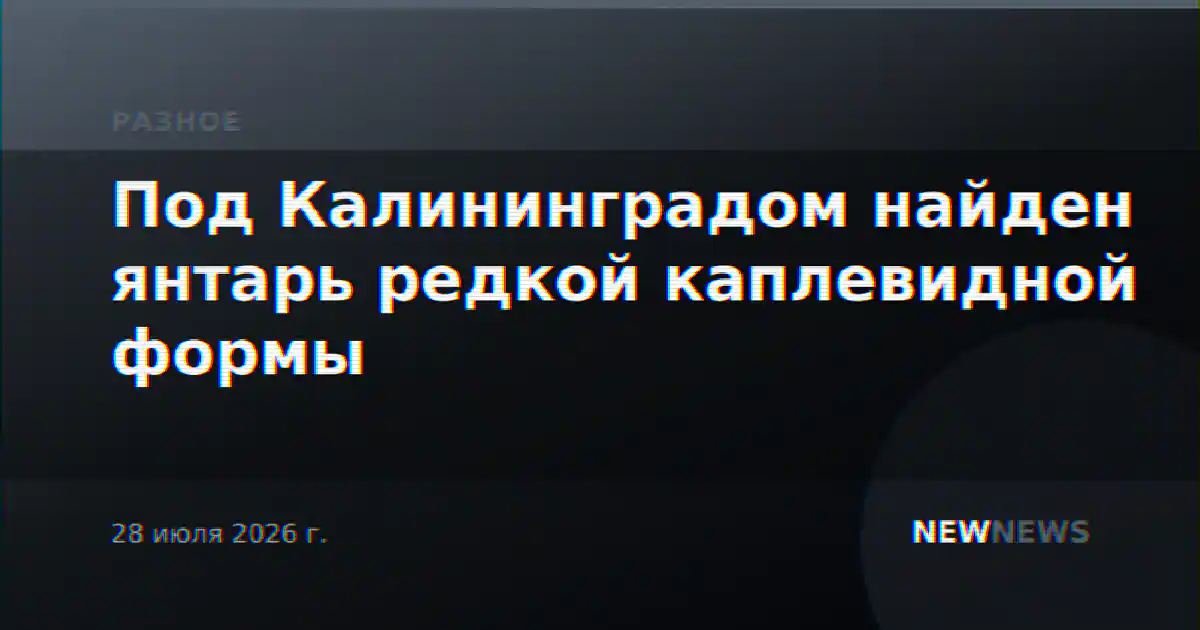 Под Калининградом найден янтарь редкой каплевидной формы