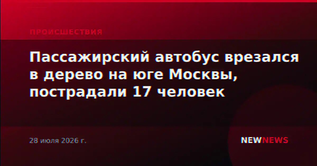 Пассажирский автобус врезался в дерево на юге Москвы, пострадали 17 человек