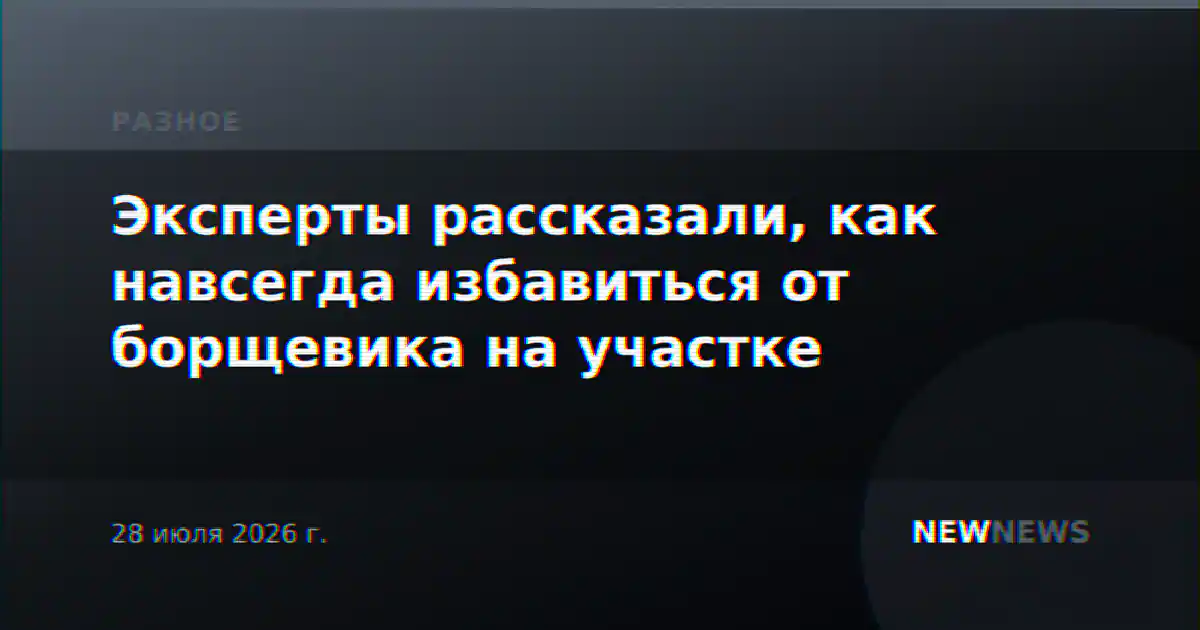Эксперты рассказали, как навсегда избавиться от борщевика на участке