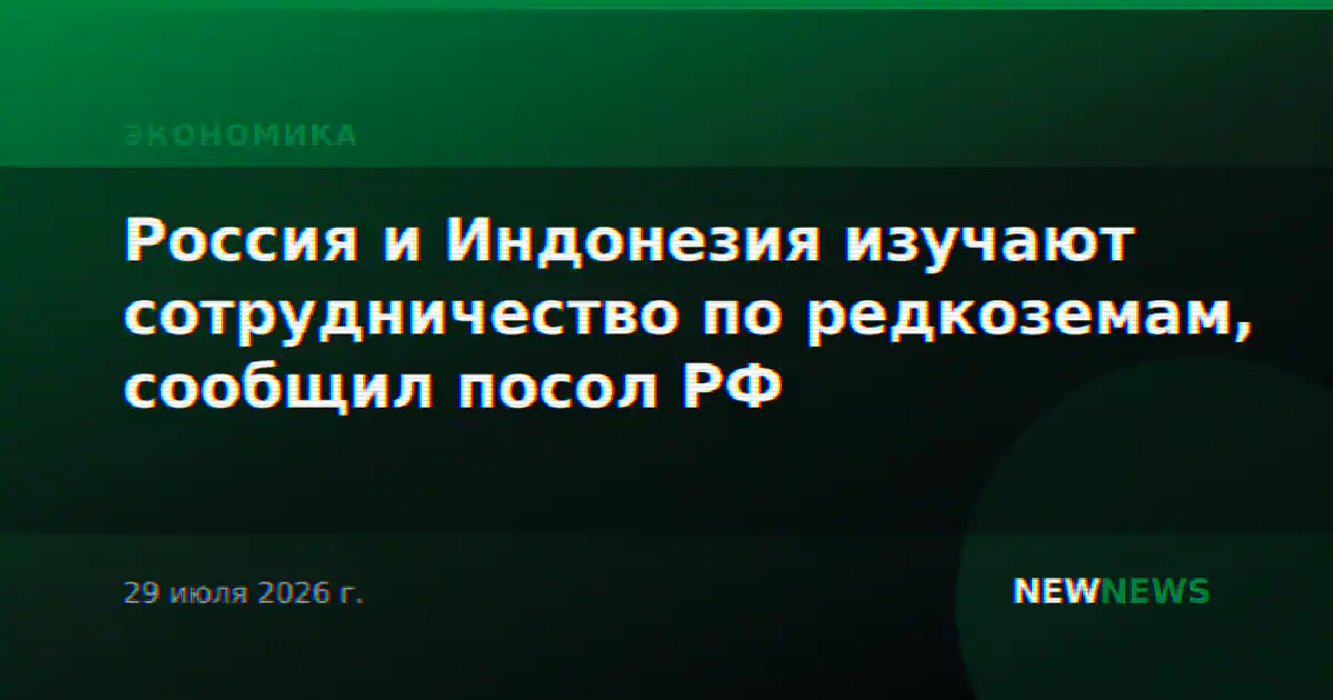 Россия и Индонезия изучают сотрудничество по редкоземам, сообщил посол РФ