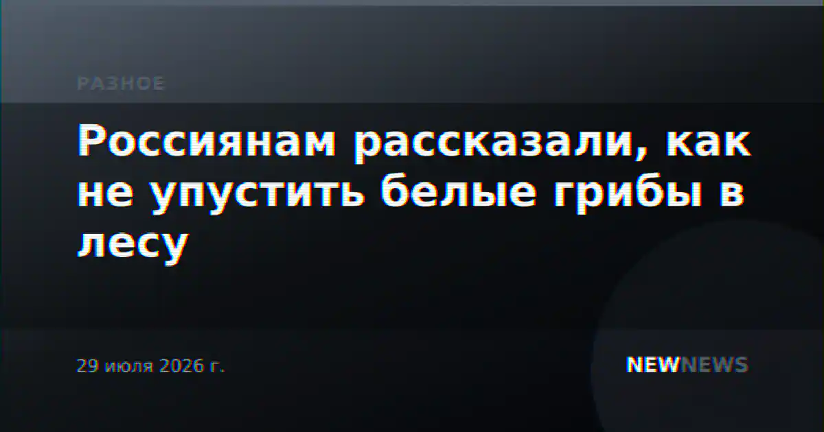 Россиянам рассказали, как не упустить белые грибы в лесу