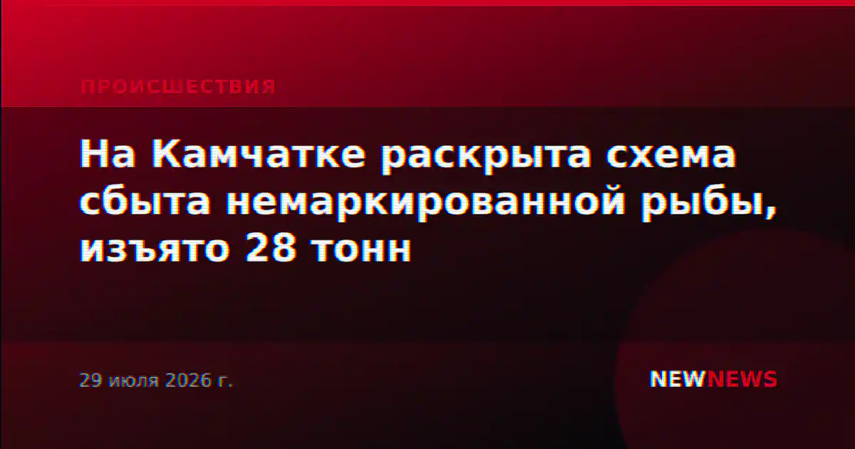 На Камчатке раскрыта схема сбыта немаркированной рыбы, изъято 28 тонн