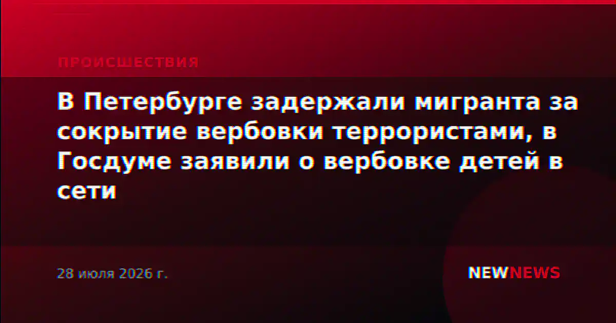 В Петербурге задержали мигранта за сокрытие вербовки террористами, в Госдуме заявили о вербовке детей в сети