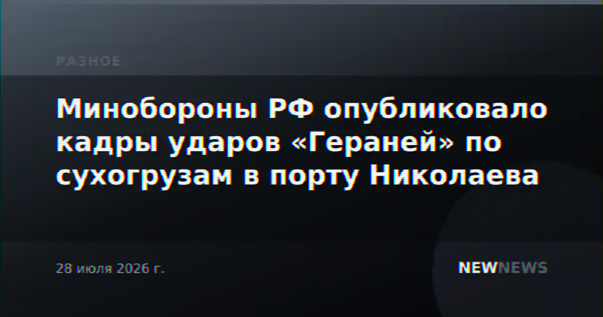 Минобороны РФ опубликовало кадры ударов «Гераней» по сухогрузам в порту Николаева