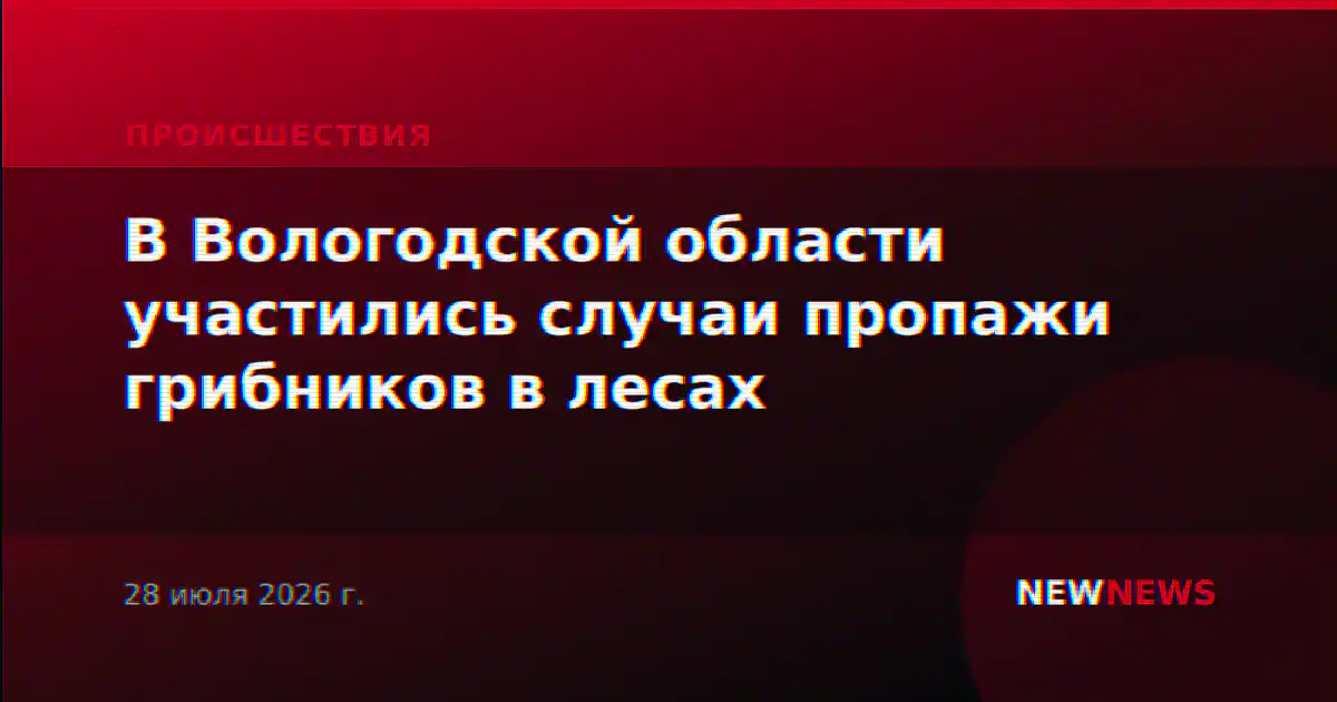 В Вологодской области участились случаи пропажи грибников в лесах