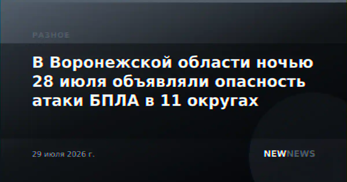 В Воронежской области ночью 28 июля объявляли опасность атаки БПЛА в 11 округах