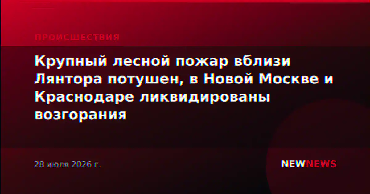 Крупный лесной пожар вблизи Лянтора потушен, в Новой Москве и Краснодаре ликвидированы возгорания