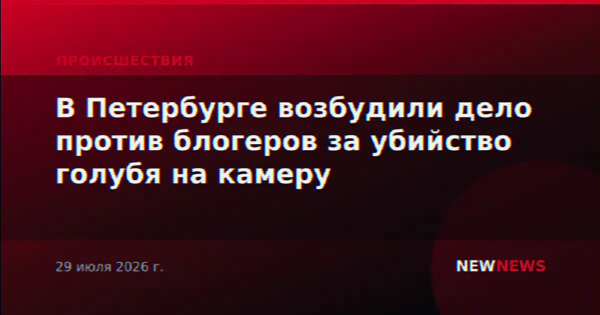 В Петербурге возбудили дело против блогеров за убийство голубя на камеру