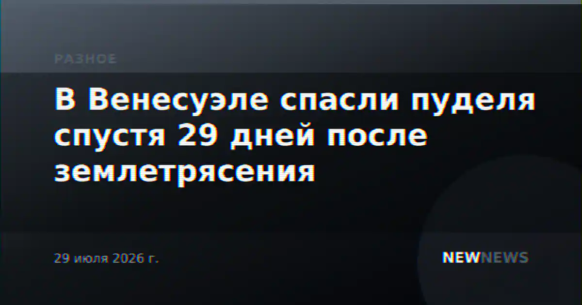 В Венесуэле спасли пуделя спустя 29 дней после землетрясения