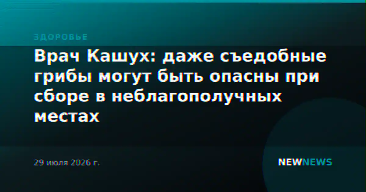 Врач Кашух: даже съедобные грибы могут быть опасны при сборе в неблагополучных местах