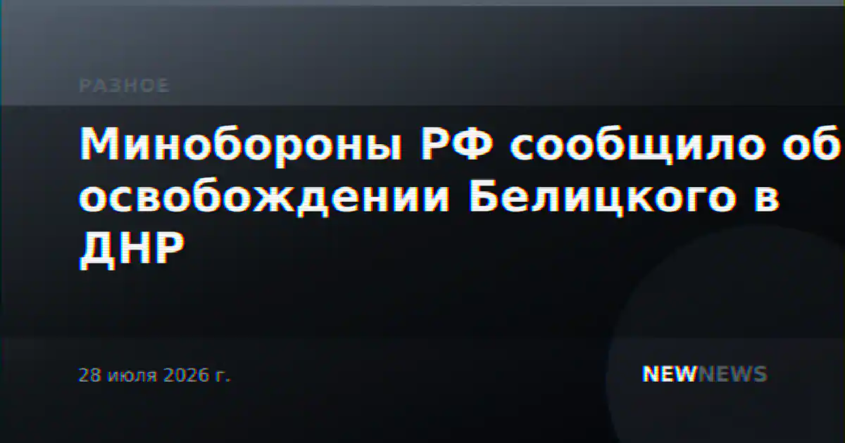 Минобороны РФ сообщило об освобождении Белицкого в ДНР