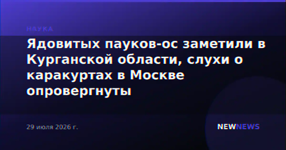 Ядовитых пауков-ос заметили в Курганской области, слухи о каракуртах в Москве опровергнуты