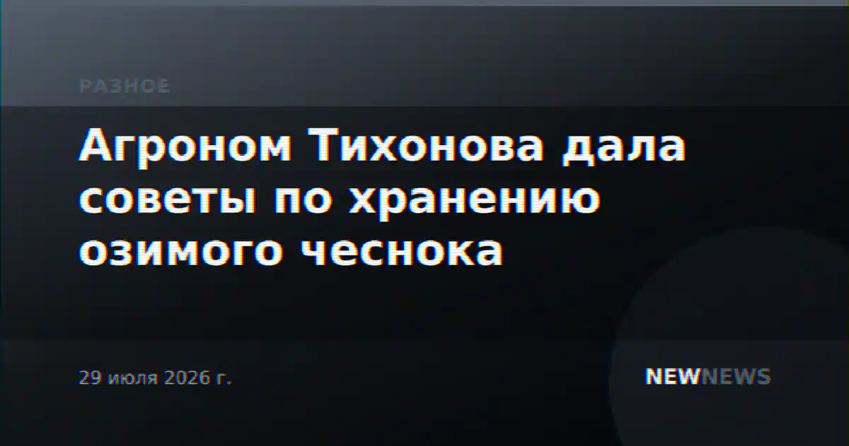 Агроном Тихонова дала советы по хранению озимого чеснока