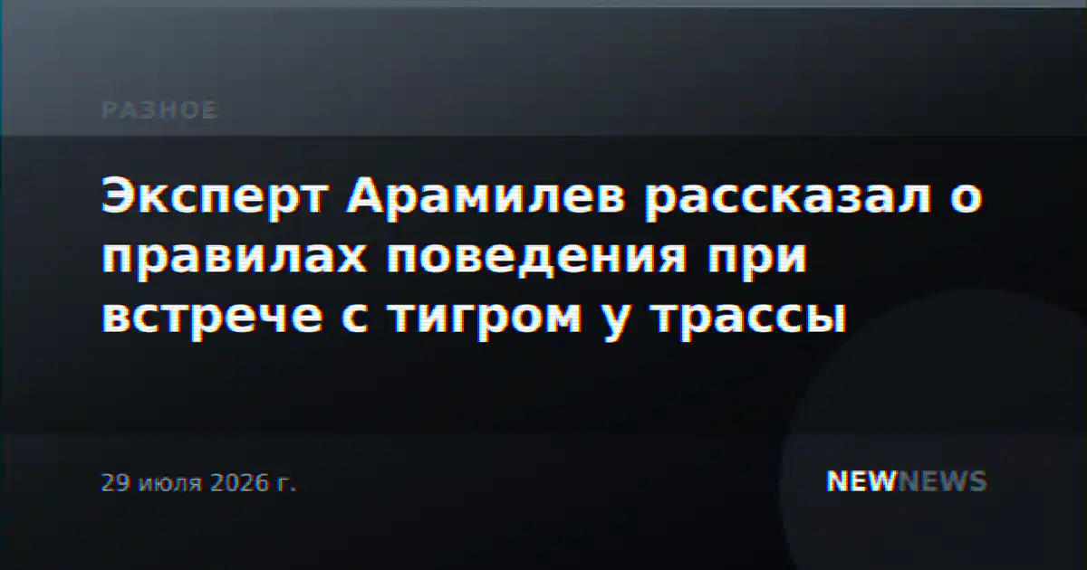 Эксперт Арамилев рассказал о правилах поведения при встрече с тигром у трассы