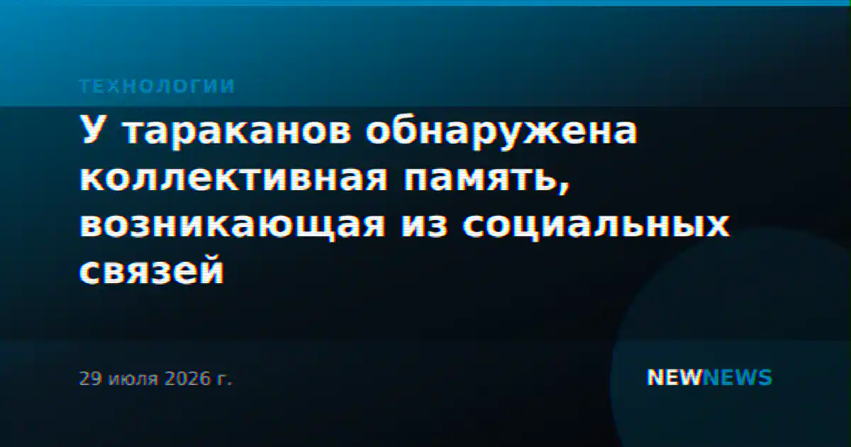 У тараканов обнаружена коллективная память, возникающая из социальных связей