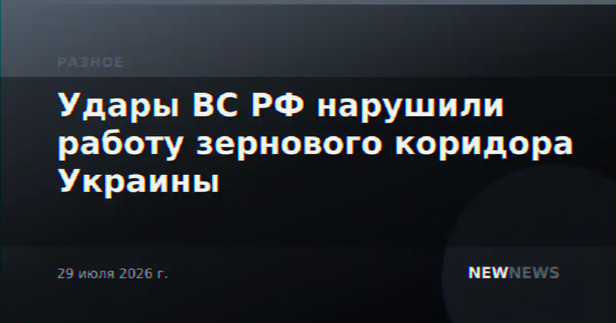 Удары ВС РФ нарушили работу зернового коридора Украины