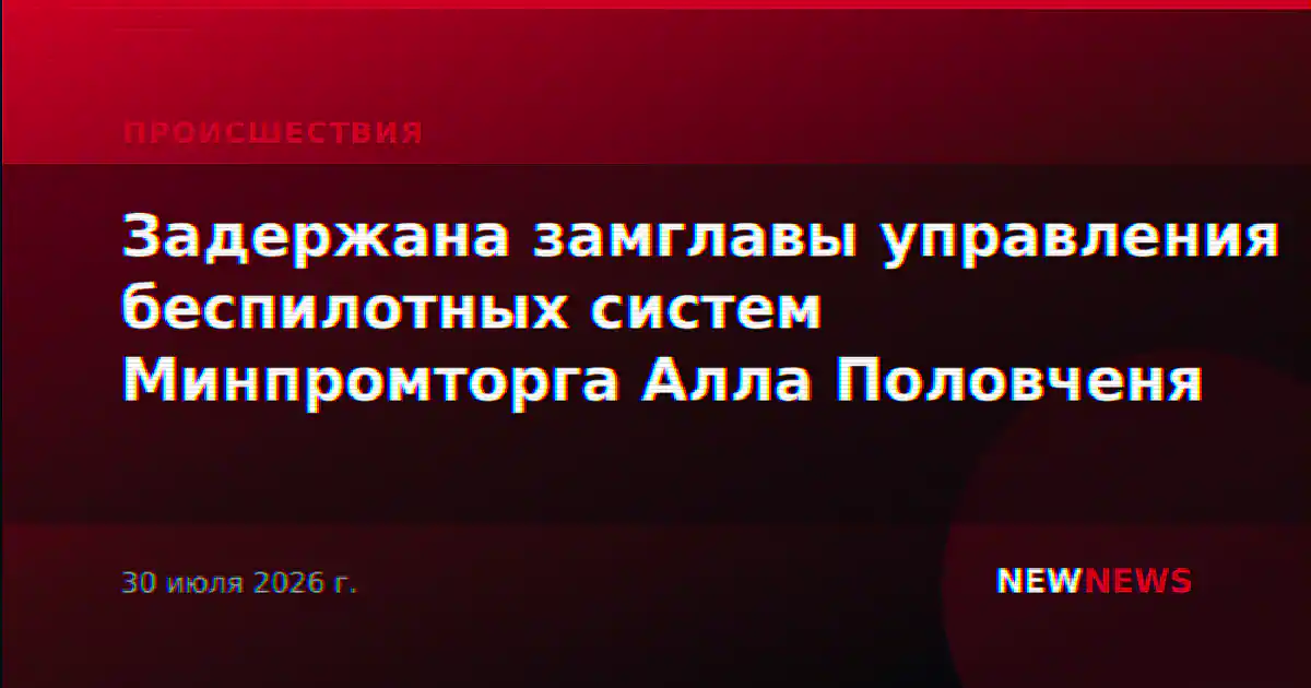 Задержана замглавы управления беспилотных систем Минпромторга Алла Половченя