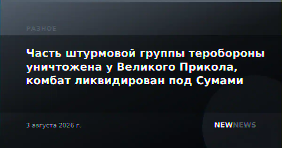 Часть штурмовой группы теробороны уничтожена у Великого Прикола, комбат ликвидирован под Сумами