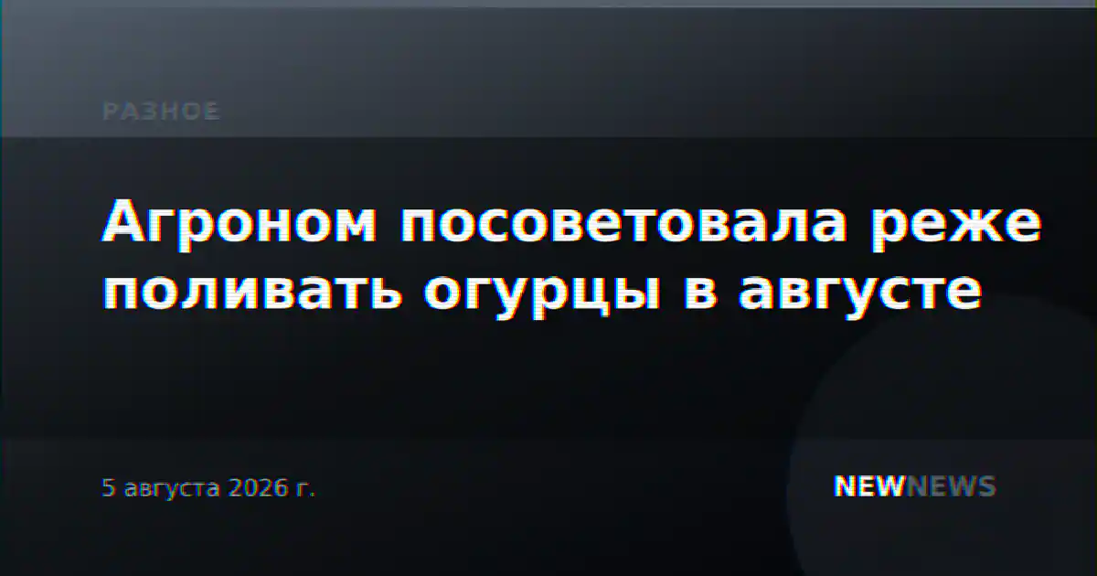 Агроном посоветовала реже поливать огурцы в августе