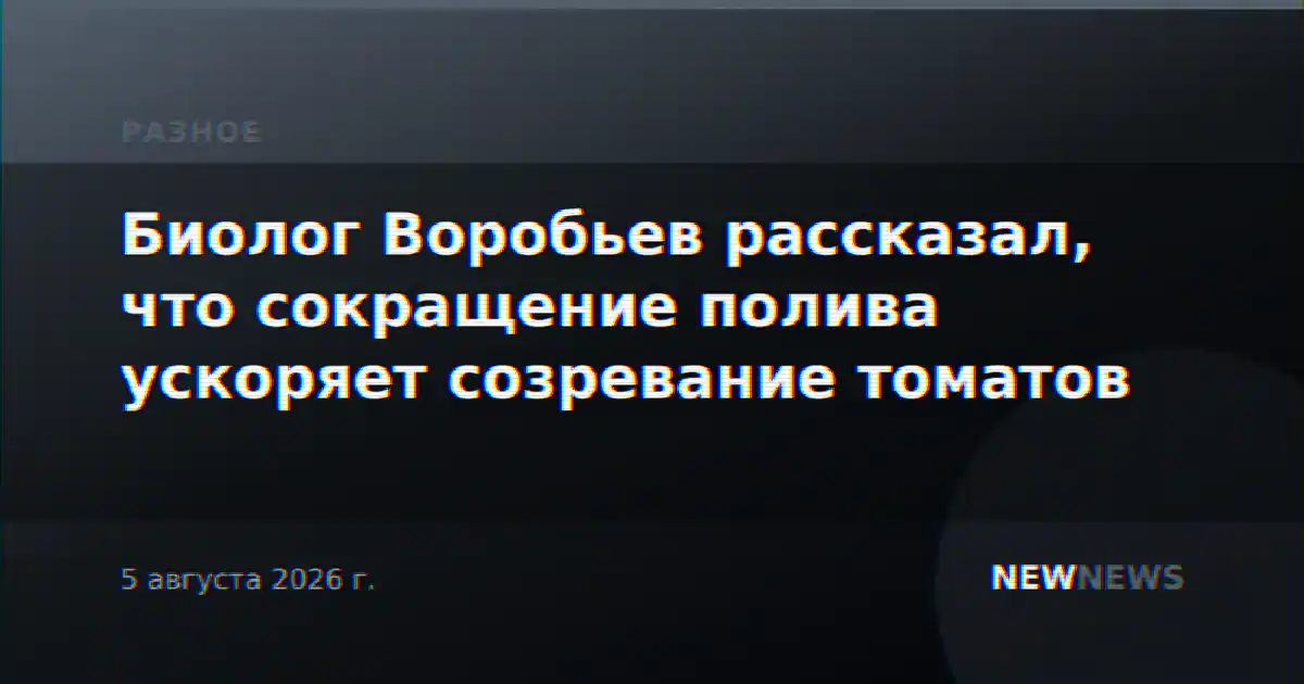 Биолог Воробьев рассказал, что сокращение полива ускоряет созревание томатов
