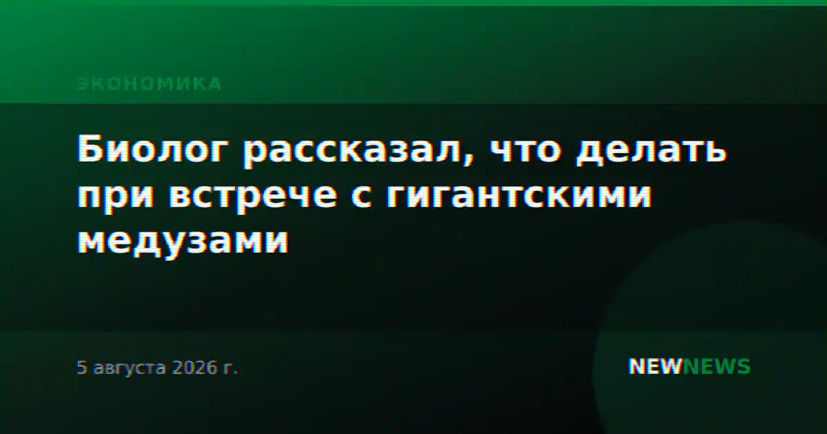 Биолог рассказал, что делать при встрече с гигантскими медузами