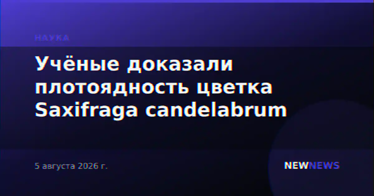 Учёные доказали плотоядность цветка Saxifraga candelabrum