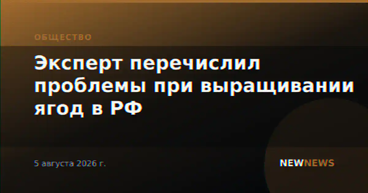 Эксперт перечислил проблемы при выращивании ягод в РФ