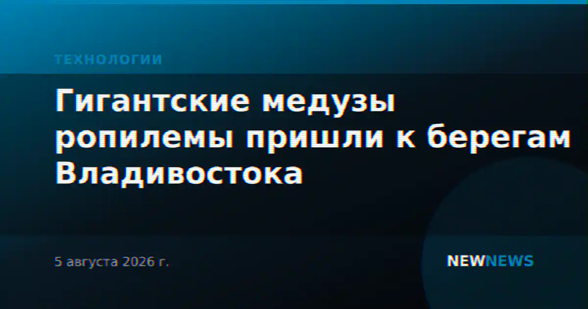 Гигантские медузы ропилемы пришли к берегам Владивостока