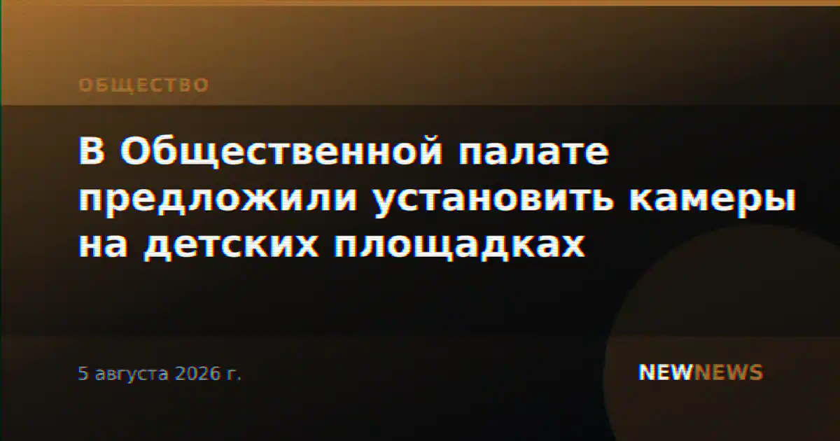 В Общественной палате предложили установить камеры на детских площадках