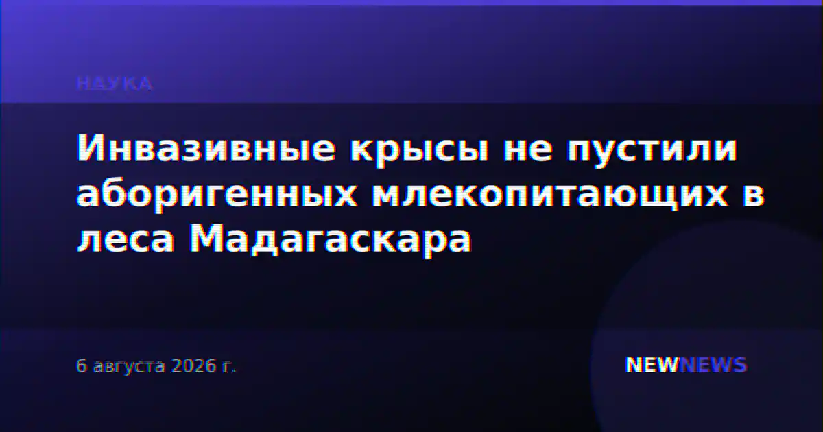 Инвазивные крысы не пустили аборигенных млекопитающих в леса Мадагаскара