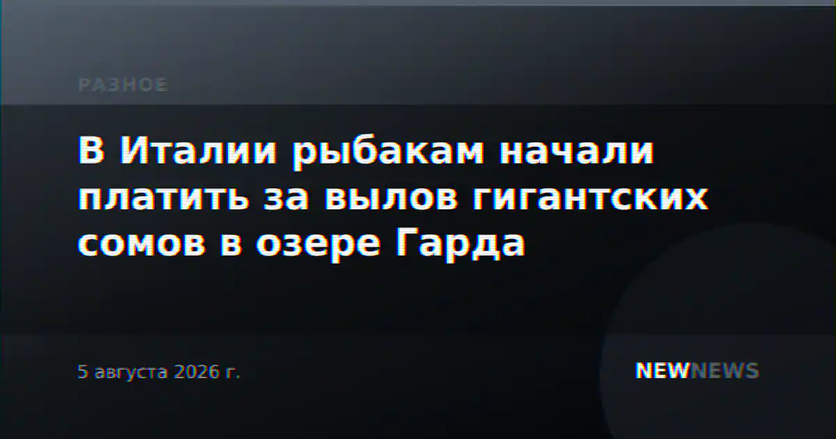 В Италии рыбакам начали платить за вылов гигантских сомов в озере Гарда