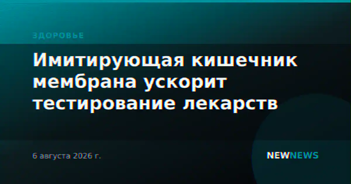 Имитирующая кишечник мембрана ускорит тестирование лекарств