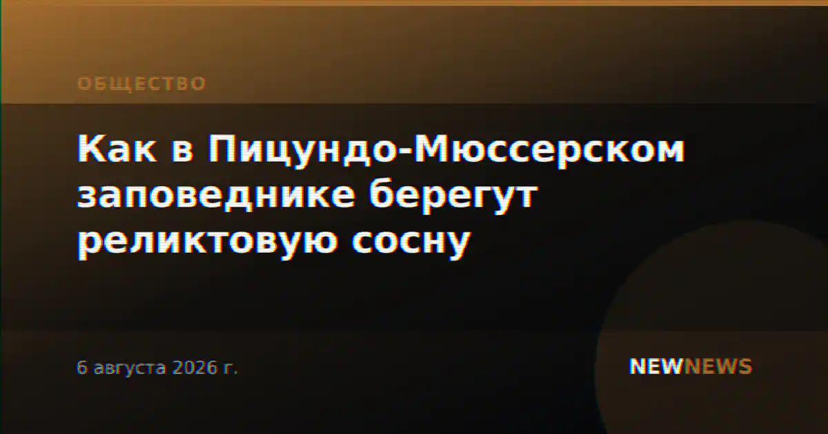 Как в Пицундо-Мюссерском заповеднике берегут реликтовую сосну