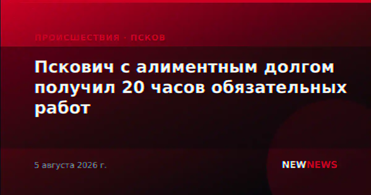 Пскович с алиментным долгом получил 20 часов обязательных работ