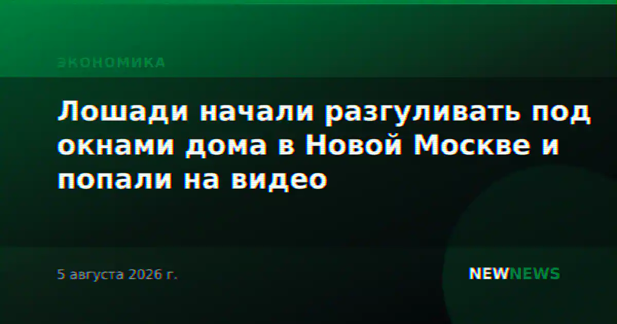 Лошади начали разгуливать под окнами дома в Новой Москве и попали на видео