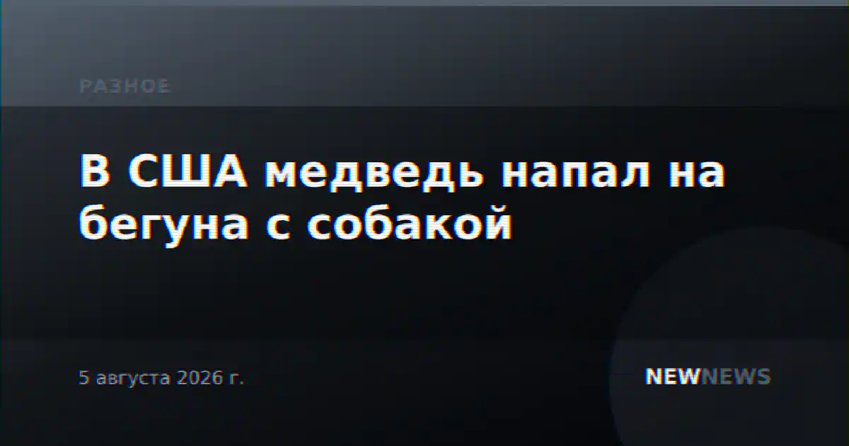 В США медведь напал на бегуна с собакой