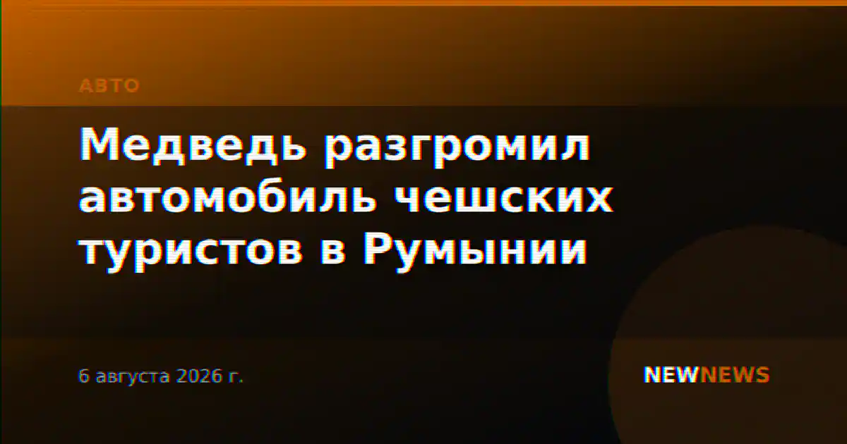 Медведь разгромил автомобиль чешских туристов в Румынии