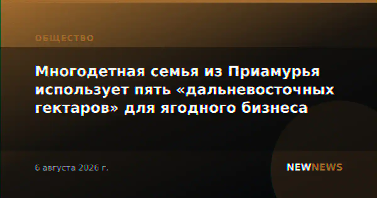 Многодетная семья из Приамурья использует пять «дальневосточных гектаров» для ягодного бизнеса