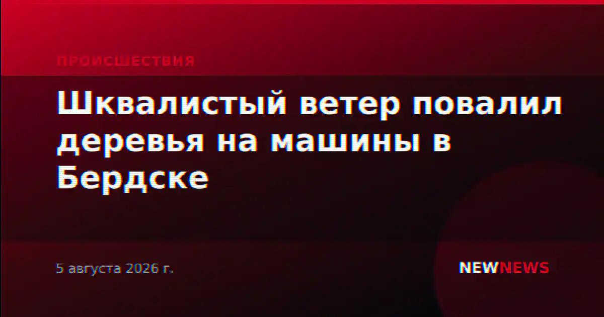 Шквалистый ветер повалил деревья на машины в Бердске