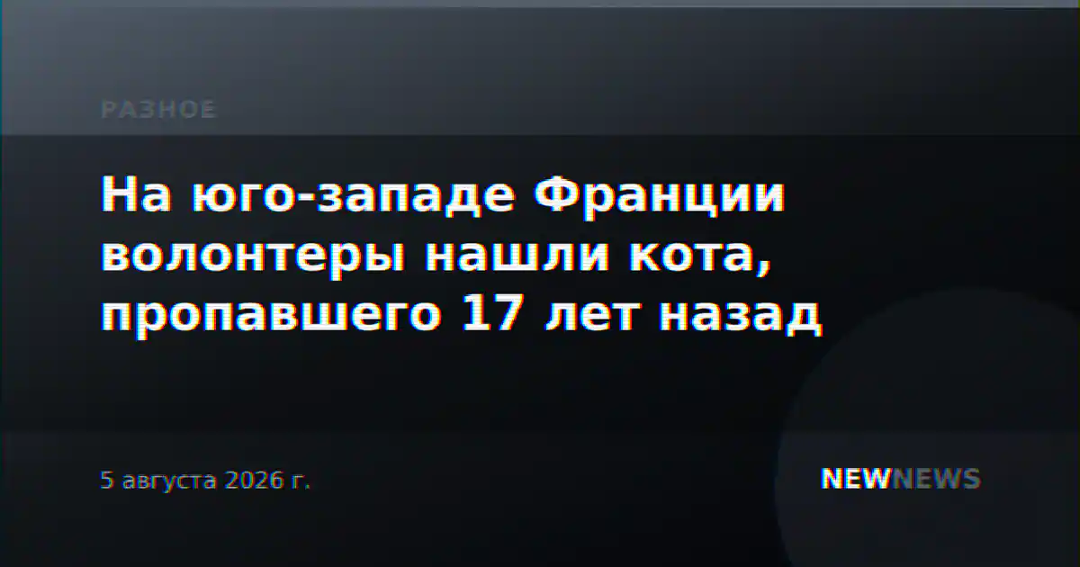 На юго-западе Франции волонтеры нашли кота, пропавшего 17 лет назад