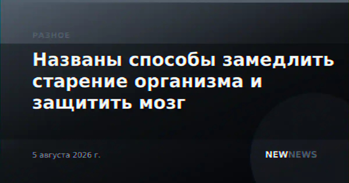 Названы способы замедлить старение организма и защитить мозг