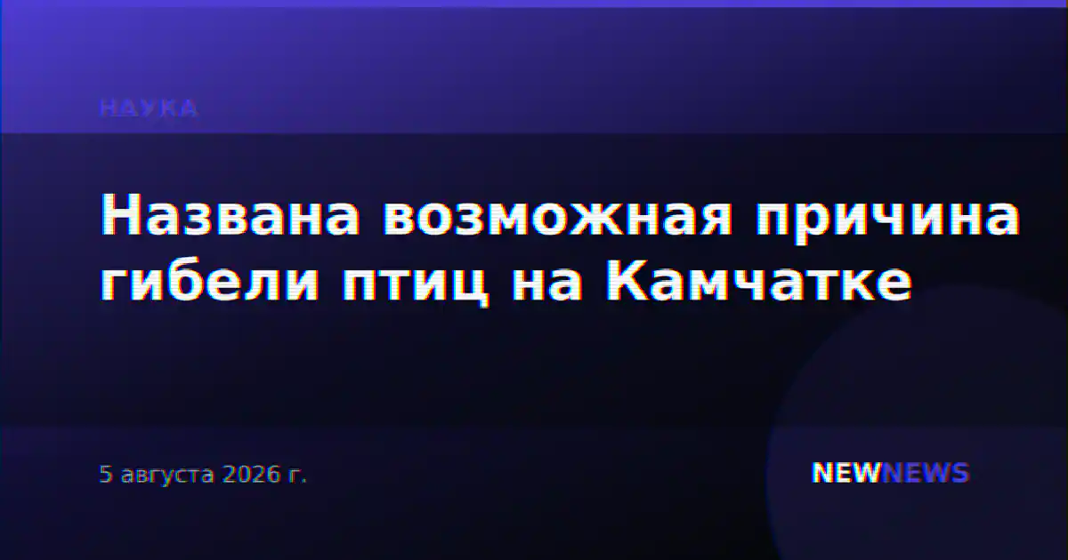 Названа возможная причина гибели птиц на Камчатке