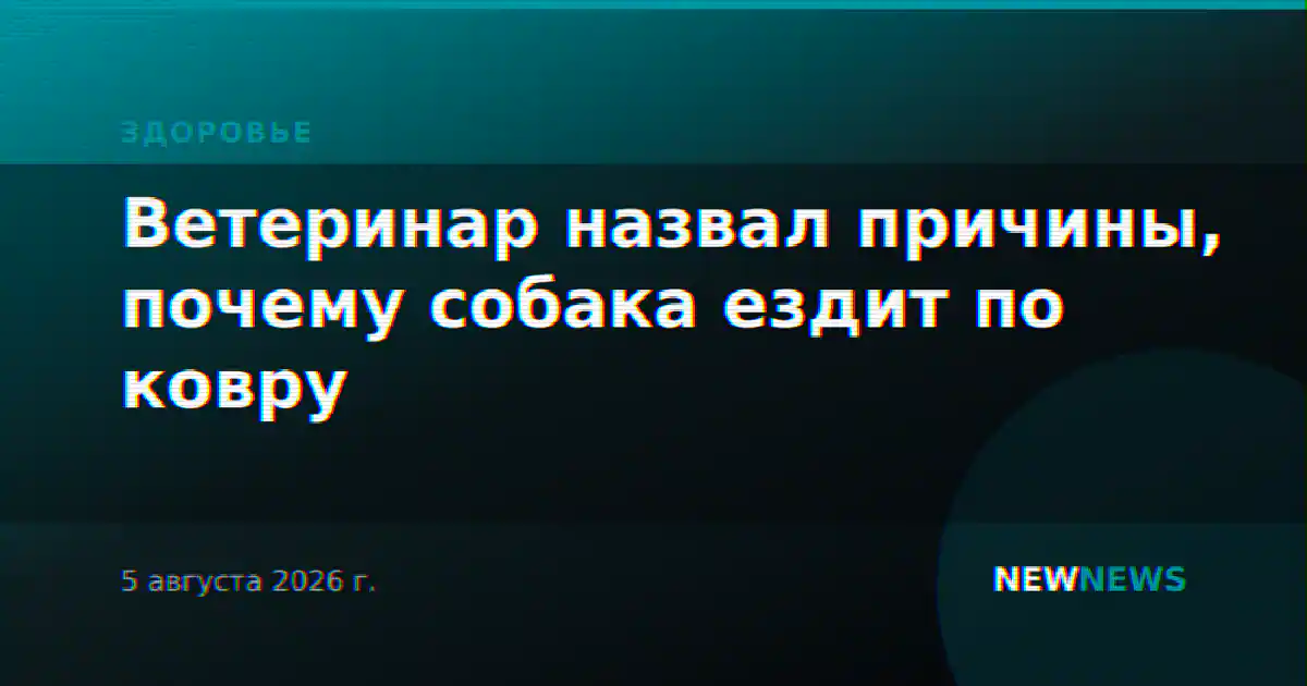 Ветеринар назвал причины, почему собака ездит по ковру