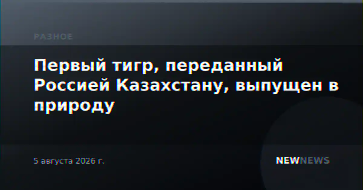 Первый тигр, переданный Россией Казахстану, выпущен в природу